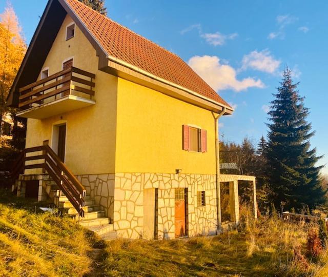 Vila Petra Kopaonik Exteriér fotografie