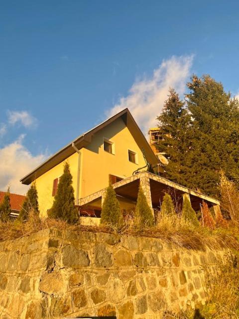 Vila Petra Kopaonik Exteriér fotografie