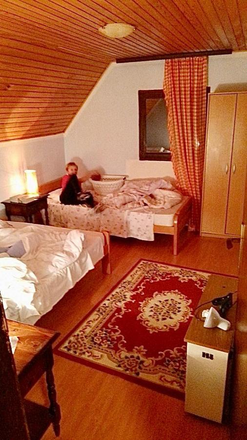Vila Petra Kopaonik Exteriér fotografie
